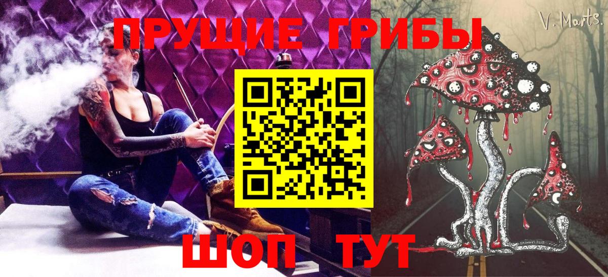 Псилоцибиновые грибы Cubensis Сосновоборск