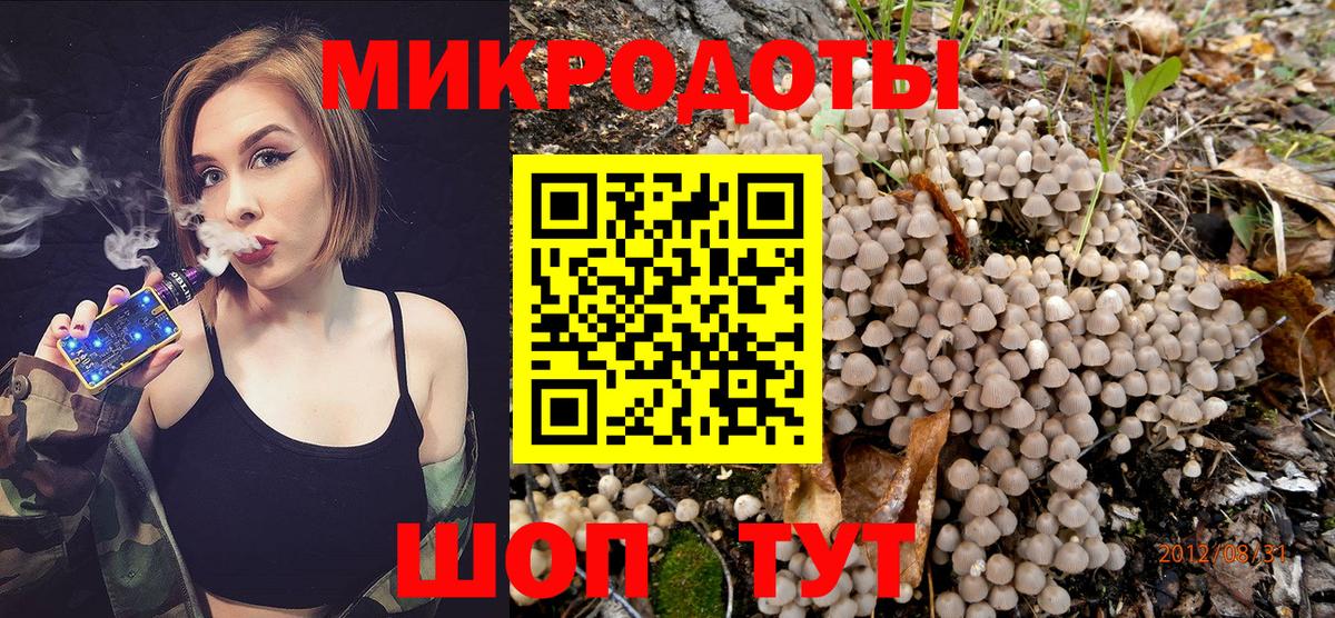 Галлюциногенные грибы Magic Shrooms  купить наркотики цена  Сосновоборск  Вход с VPN  Галлюциногенные грибы Psilocybe 